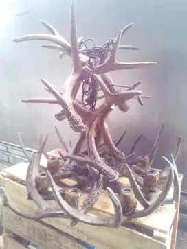 Lampu antik motif tanduk rusa