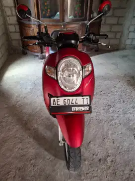 D jual Scopy 2020