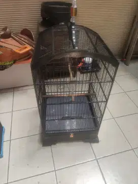 Kandang kosan 40 x 40 kaya baru