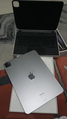Ipad pro m2 256gb
