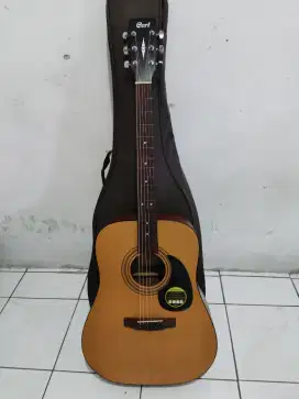JUAL GITAR CORT AD810 OP