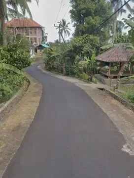 Tanah selemadeg barat tabanan