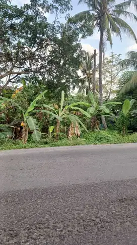 Tanah SHM pinggir jalan di Singaraja,Bali dekat Krisna,Pantai Lovina