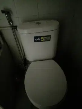 Jual toilet duduk