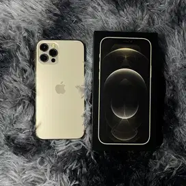 iPhone 12 Pro 256GB Gold ex iBox Resmi