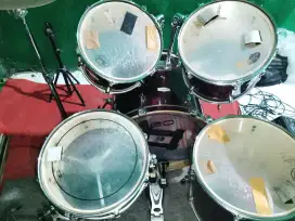 Drum pearl forum