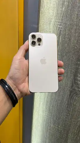 iPhone 12 Pro Max 256 Gb iBox