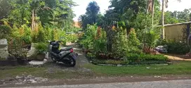 Oper stand bunga KIG, BU
