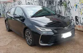 Altis type V 2019