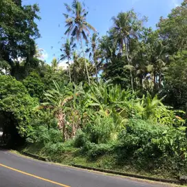Dijual tanah Tabanan Selemadeg siap bangun