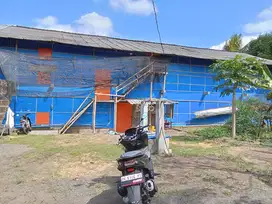 Dijual tanah dan kandang ayam Tabanan