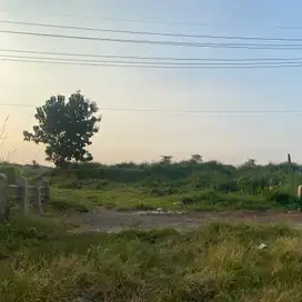 jual tanah industri pasuruan wonorejo jalan raya purwosari