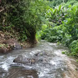 jual tanah ubud payangan view sungai
