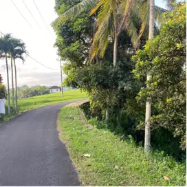 jual tanah kebun dekat pantai soka 45are