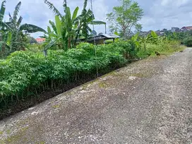 jual tanah Tabanan kota 4are 350jt/are Nego