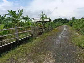 jual tanah siap bangun Tabanan Sukarno 140m2 300jt nego