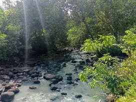 tanah view sungai besar telaga Tunjung 51are 35jt/are nego