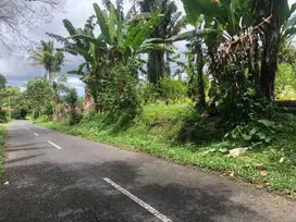 Dijual tanah taro ubud gianyar lebar depan 40m