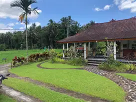 Dijual tanah agrowbisnis kerambitan tabanan
