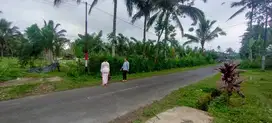 Dijual tanah Ubud taro Payangan