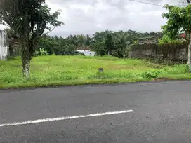 Dijual tanah Tabanan Wanasari Penebel