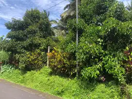 Dijual tanah kebun durian dan manggis Marga Tabanan