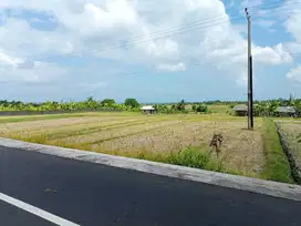 Dijual tanah  tabanan selemadeg dekat exit tol tabanan soka