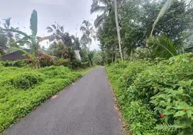 Dijual tanah penebel tabanan bagus buat cocok tanam buah durian