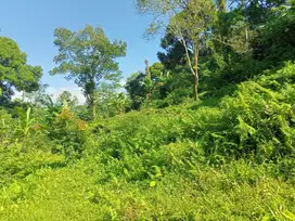 Dijual tanah kebun tabanan penebel
