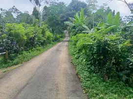 Dijual tanah kebun durian penebel tabanan