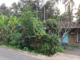 Dijual rumah kebun marga Tabanan Bali