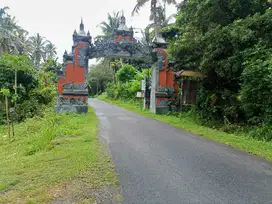 Dijual tanah tabanan Selemadeg Mambang siap bangun