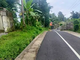 Dijual tanah kebun tabanan selemadeg dekat pasar bajera