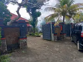 jual villa Tabanan megati selemadeg 7,5are 1,1M Nego