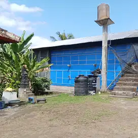 Di jual kandang ayam aktif produktif tabanan