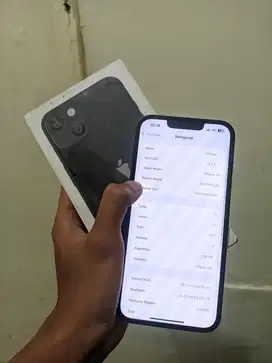 iPhone 13 256GB Inter