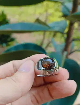 Batu Cincin Madeira Madu Api Citrin Quartz