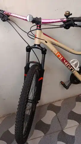 Sepeda MTB Polygon Cleo 2