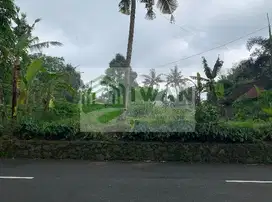 Tanah Kering/Pekarangan Sekitar Pabrik Hadap Jalan DPU