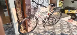 Sepeda Wymcycle, Federal, Commuter Bike