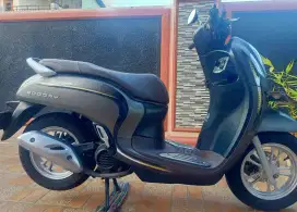 Scoopy mulus no minus