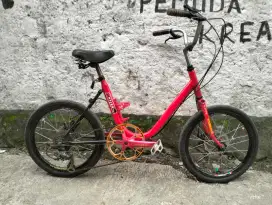 sepeda Minion 20