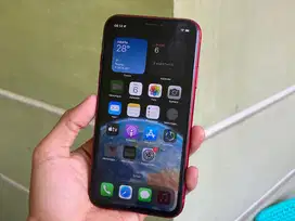 [BEACUKAI] iPhone XR 64GB - Second Inter