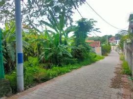 Dijual tanah 1 are dan 2 are di tegal cupek umalas kr