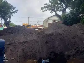 Pasir Lumajang langsung