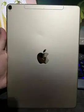 Ipad Pro 10.5 Inc Wifi Celluler