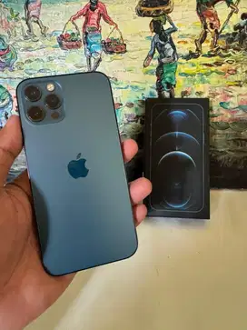 Iphone 12 pro 256gb inter dualsim aktif bisa tt
