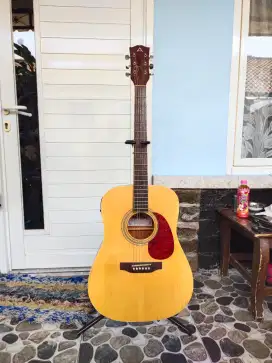 Jual Cepat Gitar ANDERSON AFE - 12 N