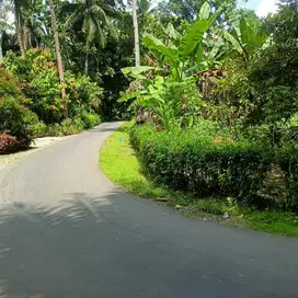 JUAL TANAH DI KARANGSARI PENGASIH KULONPROGO