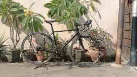 Sepeda balap roadbike polygon helios f1 upgrade dropbar tiagra grupset
